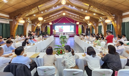 Công bố chương trình kích cầu du lịch 2023 “Quảng Nam – Cảm xúc mùa hè”
