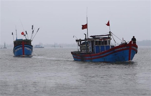 Việt Nam - Trung Quốc đàm phán về vấn đề trên biển
