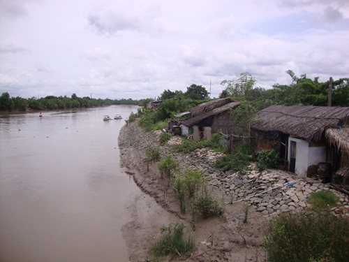 Sạt lở bờ sông, kênh gây thiệt hại tại Cà Mau