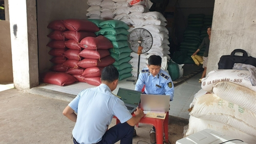 Tạm giữ 52 tấn gạo nhập khẩu không có nhãn phụ bằng tiếng Việt