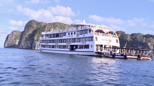 Nhiều tàu không phép đưa khách du lịch vịnh Hạ Long