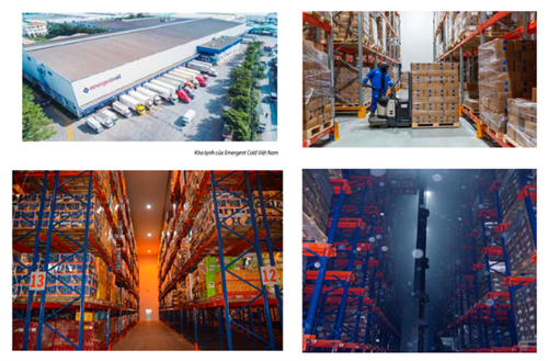 Bất động sản kho lạnh Cơ hội đầu tư trong ngành công nghiệp lưu trữ và logistics