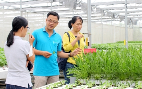 Phát triển nông nghiệp thông minh ở Việt Nam theo hướng bền vững