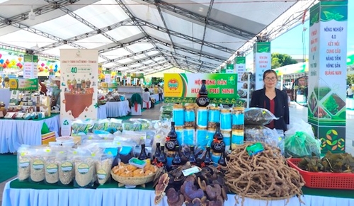 Trưng bày, quảng bá sản phẩm nông nghiệp tỉnh Quảng Nam