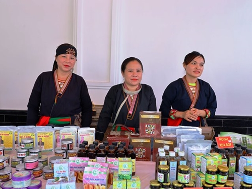 Kinh tế dược liệu Việt Nam - Thế mạnh của kinh tế tập thể, hợp tác xã