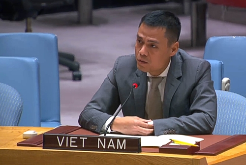 Việt Nam cam kết tiếp tục đóng góp tích cực cho an ninh lương thực toàn cầu