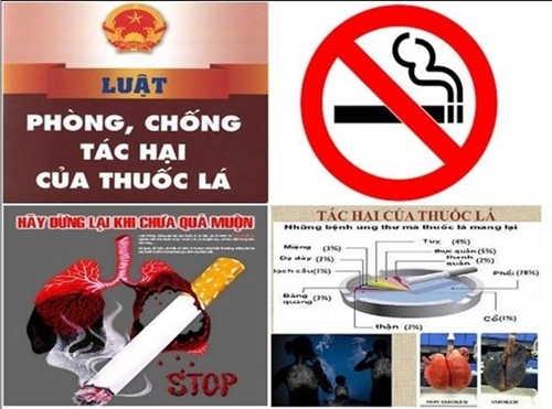 Đắk Lắk Tăng cường việc thực thi Luật Phòng, chống tác hại của thuốc lá và môi trường không khói thuốc