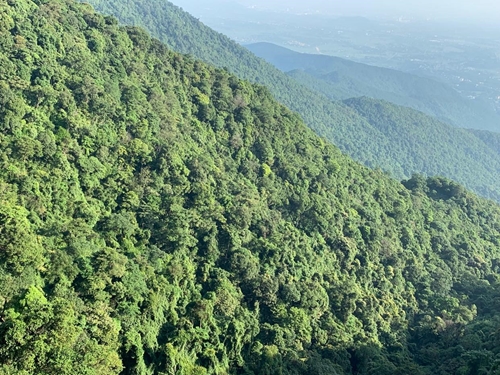 Cả nước thu 1 663,6 tỷ đồng tiền dịch vụ môi trường rừng