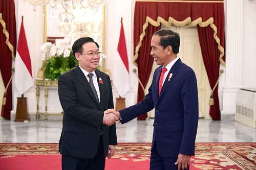 Việt Nam hết sức coi trọng quan hệ Đối tác chiến lược với Indonesia