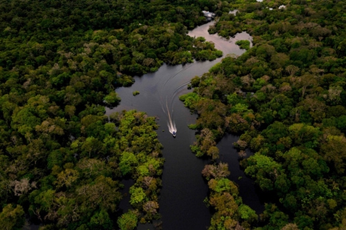 Các nước vùng Amazon tăng cường hợp tác chống biến đổi khí hậu