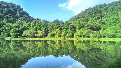 Cúc Phương lần thứ 5 liên tiếp nhận giải thưởng Vườn quốc gia hàng đầu châu Á