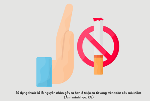 Long An Đẩy mạnh truyền thông về phòng chống tác hại của thuốc lá cho giáo viên