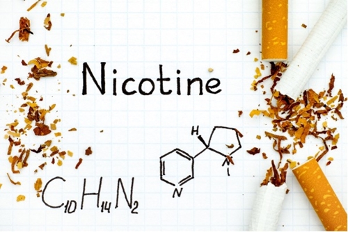 Nicotine liệu có gây ra ung thư như lầm tưởng