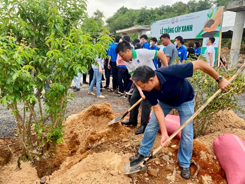 PVFCCo trồng 500 cây bằng lăng tại Bình Thuận