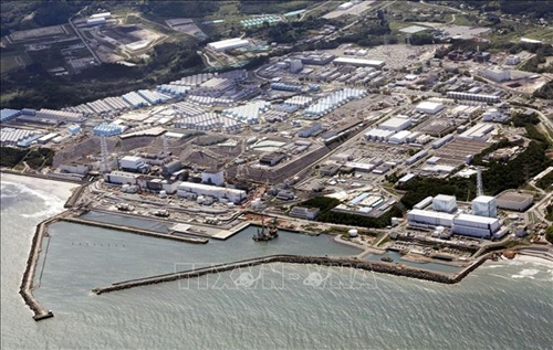 Nhật Bản Không phát hiện bất thường trong mẫu cá sau khi xả nước thải hạt nhân
