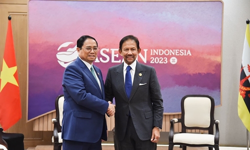 Sớm ký kết Hiệp định liên chính phủ về thương mại gạo giữa Việt Nam và Brunei