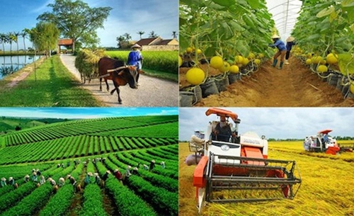 Phê duyệt Chiến lược phát triển ngành nghề nông thôn đến năm 2030, tầm nhìn đến năm 2045