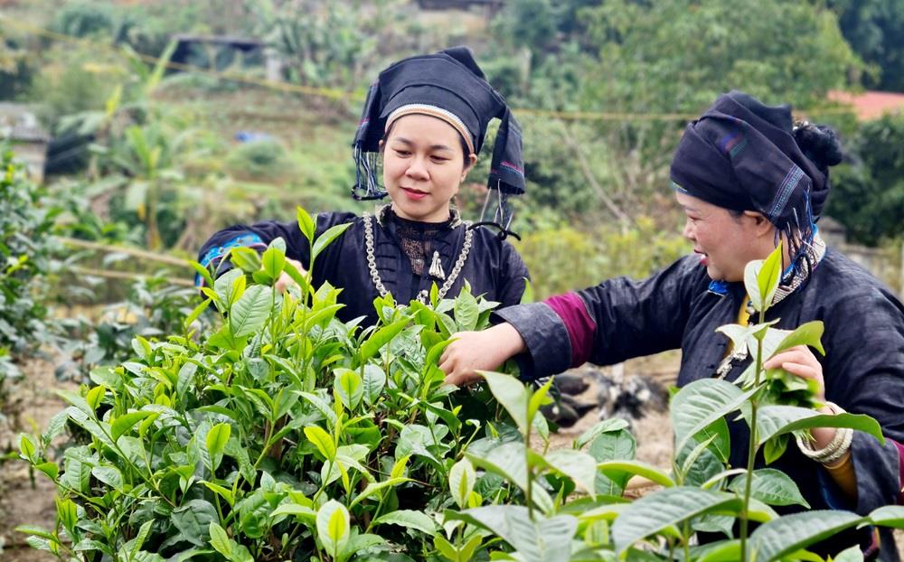 Các Mô Hình Kinh Doanh Khởi Nghiệp Tìm Hiểu Và Áp Dụng Trong Thực Tế