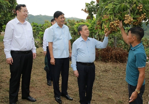 Thúc đẩy quan hệ hữu nghị hợp tác giữa Sơn La và các tỉnh của Lào