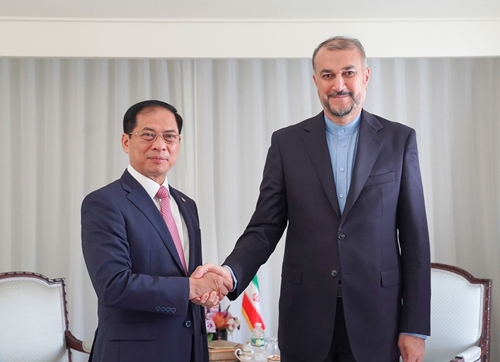 Bộ trưởng Bộ Ngoại giao Bùi Thanh Sơn tiếp xúc song phương với Bộ trưởng Ngoại giao Mexico và Iran