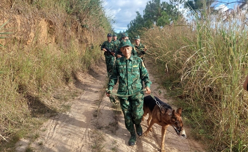 Tích cực hợp tác về phòng, chống ma túy tại các tỉnh giáp biên Lào, Campuchia