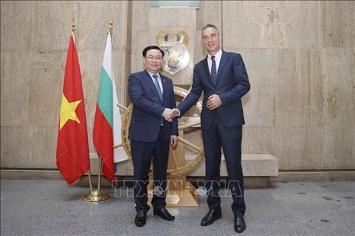 Tăng cường quan hệ, hợp tác toàn diện Việt Nam-Bulgaria