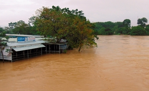 Các tỉnh từ Nghệ An đến Quảng Nam chủ động ứng phó với mưa lũ