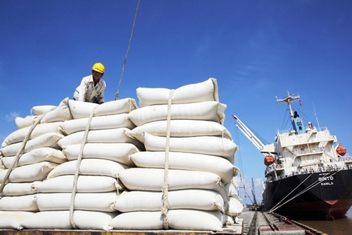 Công bố thương nhân đủ điều kiện kinh doanh xuất khẩu gạo