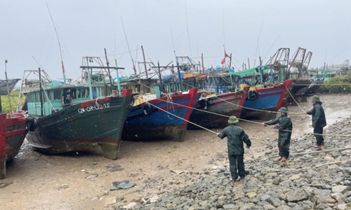 Quảng Ninh tạm ngừng cấp phép cho tàu ra khơi