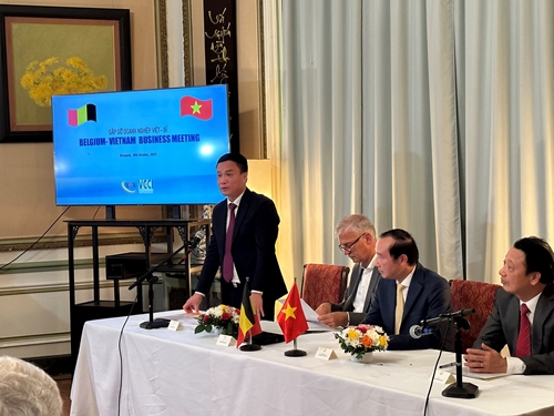 Chủ tịch UBND tỉnh Triệu Thế Hùng mong muốn doanh nghiệp Bỉ đầu tư vào 2 lĩnh vực