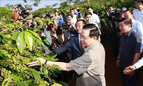 Chủ tịch Quốc hội thăm vùng trồng cà phê và dự Lễ khánh thành Nhà máy chế biến cà phê Sơn La
