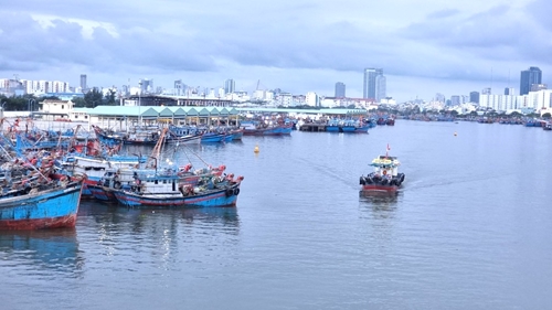 Khoa học và công nghệ góp phần thúc đẩy kinh tế biển Đà Nẵng phát triển