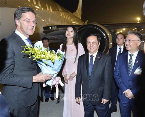 Thủ tướng Vương quốc Hà Lan đến Hà Nội, bắt đầu chuyến thăm chính thức Việt Nam