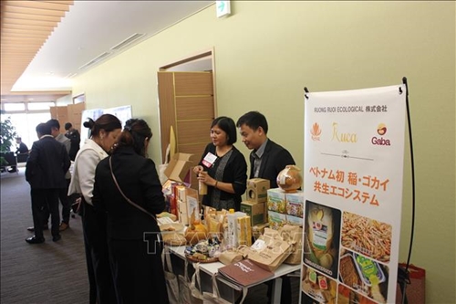 Doanh nghiệp Việt Nam tại Nhật Bản đóng góp thiết thực vào sự phát triển quan hệ hữu nghị hai nước
