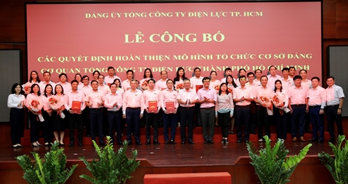Hoàn thiện mô hình tổ chức cơ sở đảng Cơ quan Tổng Công ty Điện lực TP Hồ Chí Minh