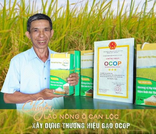 Chuyện lão nông ở Can Lộc xây dựng thương hiệu gạo OCOP