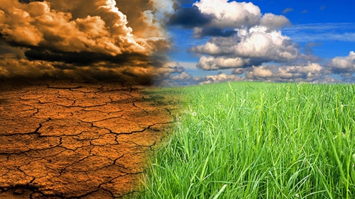 Một số giải pháp để phát triển kinh tế bền vững nông nghiệp trước biến đổi khí hậu