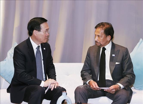 Đưa quan hệ hợp tác Việt Nam - Brunei đi vào chiều sâu, thiết thực hơn