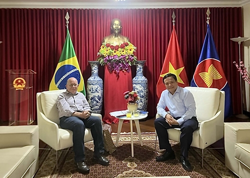 Thúc đẩy quan hệ hữu nghị, hợp tác nhiều mặt Việt Nam - Brazil