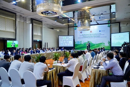 Kinh nghiệm quốc tế về phát triển thị trường các-bon và hàm ý chính sách với Việt Nam