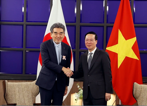 Việt Nam - Nhật Bản mở rộng hợp tác chống biến đổi khí hậu và nước biển dâng