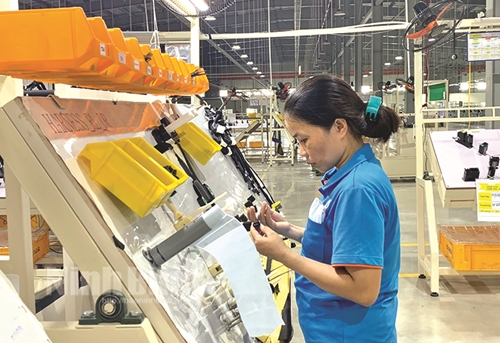 Nguồn nhân lực chất lượng cao giúp thu hút đầu tư của Ninh Bình