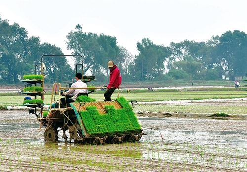 Tinh gọn bộ máy, tạo thuận lợi đầu tư cơ giới hóa nông nghiệp
