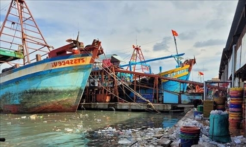 Một cảng cá ở Bà Rịa-Vũng Tàu bị ra khỏi danh sách cảng chỉ định