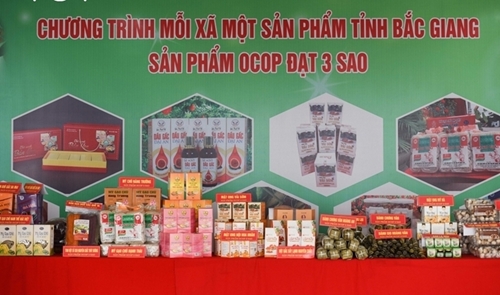 Bắc Giang khuyến khích phát triển sản phẩm OCOP giai đoạn 2024 - 2025