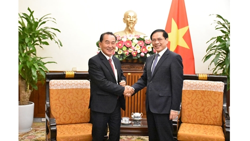 Hợp tác thực hiện tốt công tác người Việt Nam ở nước ngoài và người Lào ở nước ngoài