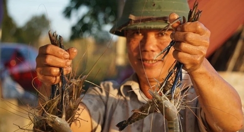Bỉm Sơn phát triển nông nghiệp với hướng đi mới
