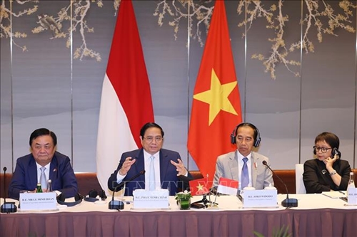 Thủ tướng Phạm Minh Chính và Tổng thống Indonesia đồng chủ trì đối thoại doanh nghiệp cấp cao Việt Nam - Indonesia