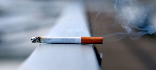 WHO Số người hút thuốc lá trên toàn thế giới đang giảm dần