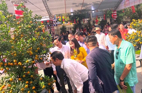 Lễ hội hoa đào, quất cảnh và sản phẩm OCOP tại Hà Nội